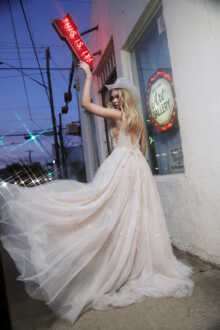 WILLOWBY STARS ALIGN WILLOWBY STARS ALIGN